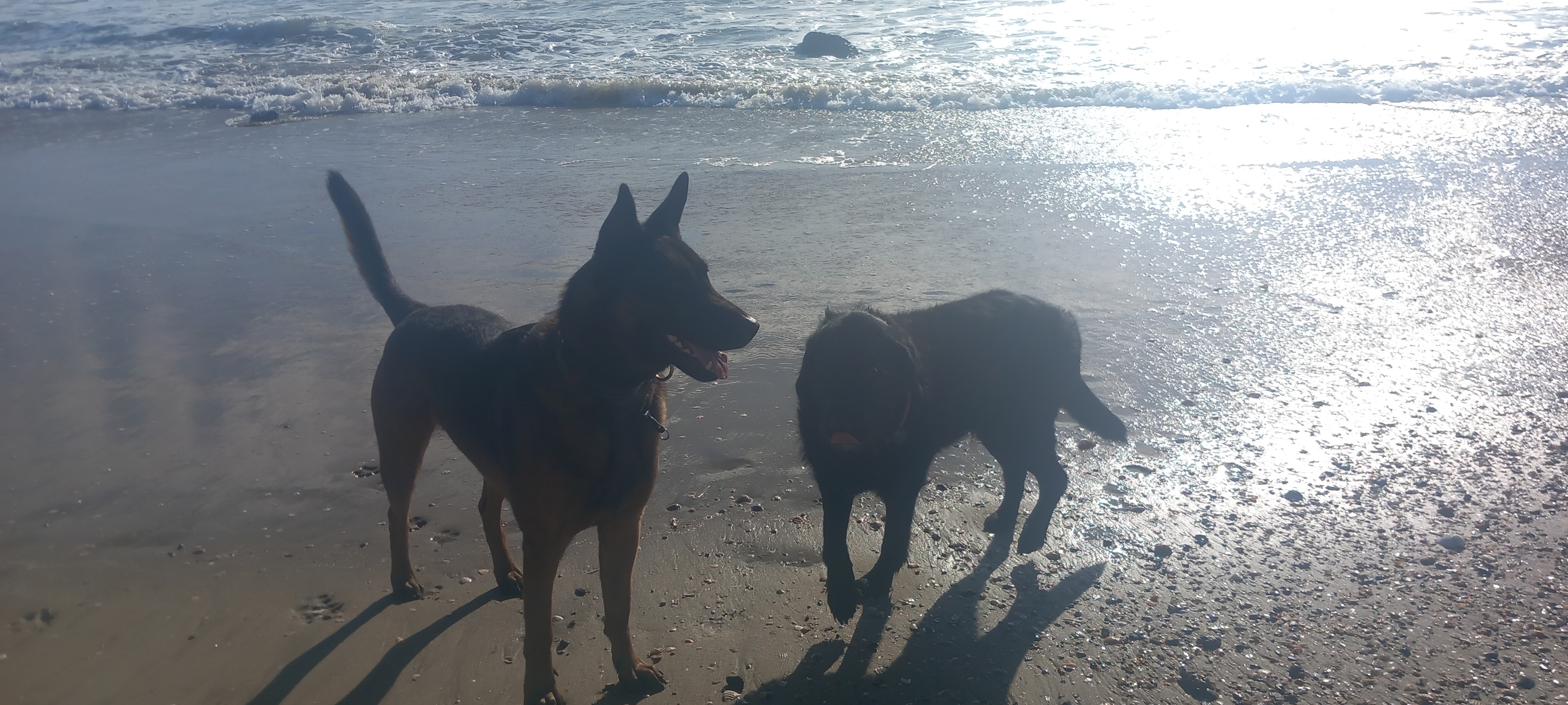 Rossi en Luca samen buiten